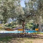 Private Hilltop With Pool & Panoramic Views - Country Kalimera Villa Skopelos